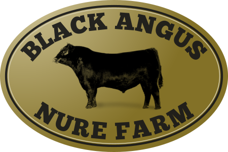Logo Società Black Angus Nure Farm